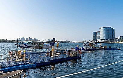 《龙腾世纪：恐狼》明年夏季揭晓 新预告片公布